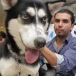 cdmx-animales.jpg