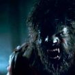 Wolfman