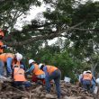 Tren Maya Greenpeace ambiente