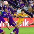 tigres-orlando-web.jpg