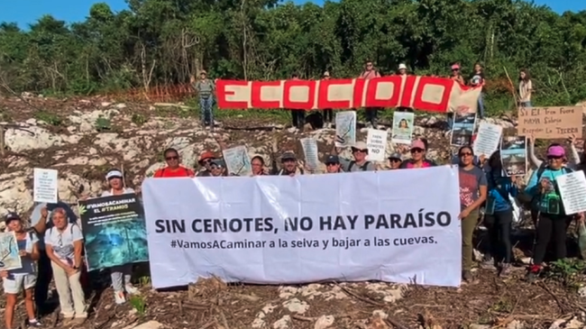 cenotes.jpeg