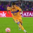 tigres-gorriaran-web.jpg