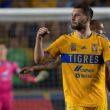 tigres-golea-web.jpg