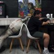 cafe-tailandia.jpg