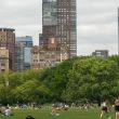 central park 