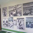 pele-cuarto-1.jpg