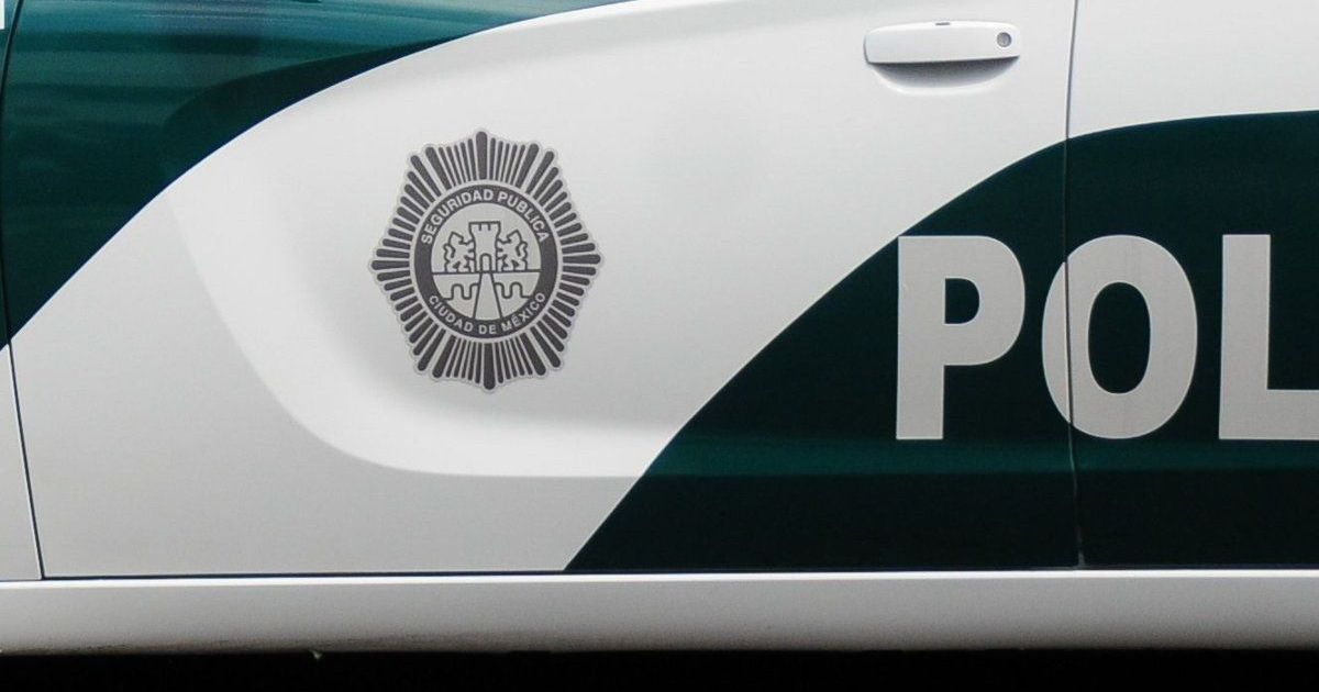 Cae una joven 23 años tras asaltar a adulta mayor en Potrerillo ...