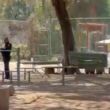 matan El Pato Jardin Balbuena.jpg matan El Pato Jardin Balbuena.jpg