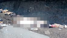 De acuerdo con los primeros reportes, la víctima se encontraba desnuda y presentaba huellas visibles de violencia.