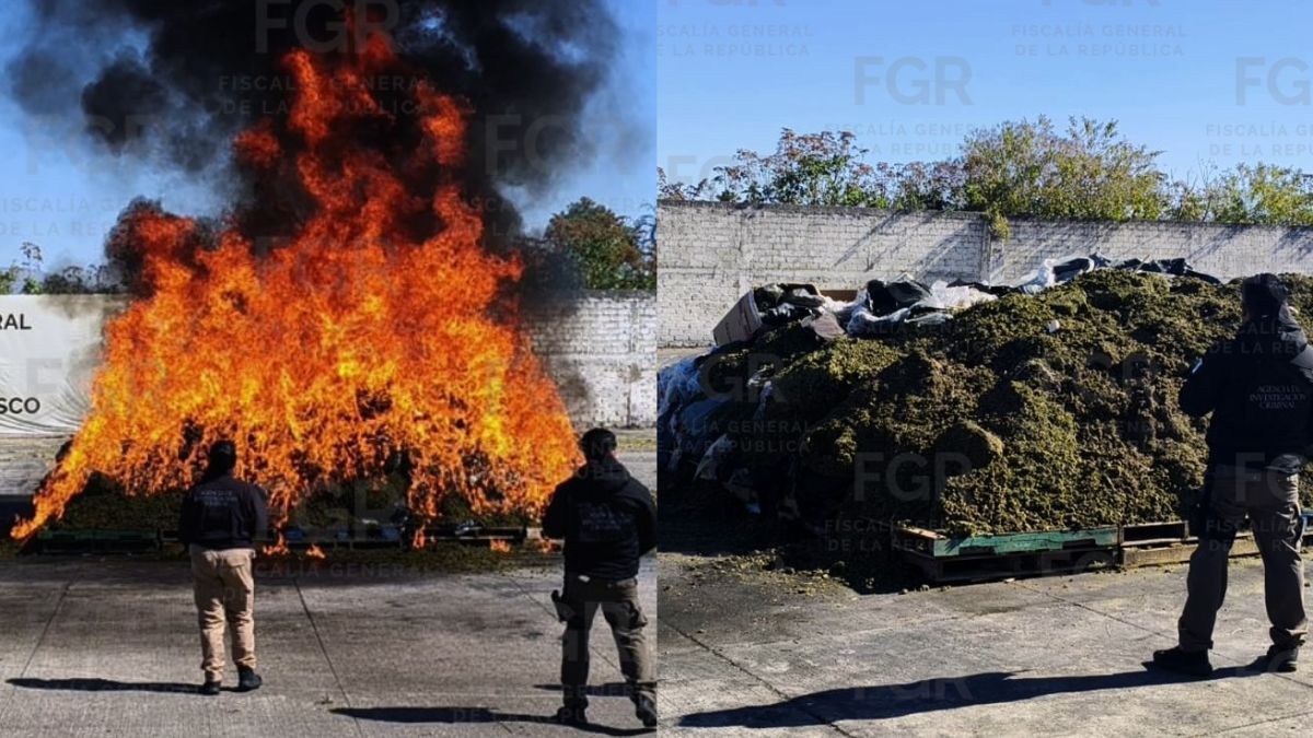 Drogas incineradas en Jalisco 