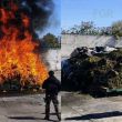 Drogas incineradas en Jalisco 