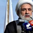 Naim Qassem, 