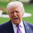 Donald Trump Donald Trump