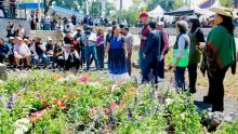 inauguran Jardin de lluvia Coapa Brugada.jpg