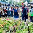 inauguran Jardin de lluvia Coapa Brugada.jpg inauguran Jardin de lluvia Coapa Brugada.jpg