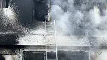 incendio casa San Juan Aragon tres perros muertos.jpg