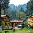 En medio de este paisaje, el lugar se ha convertido desde hace años en una parada obligada para quienes buscan comer pescado fresco en plena naturaleza y a precio justo.