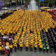 Brugada Molina detalló que actualmente la capital cuenta con 2 mil 370 brigadistas y mil 600 bomberos, quienes se encuentran dedicados a combatir incendios en las zonas de conservación.