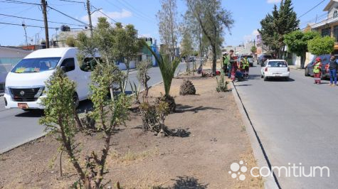 Ecatepec se transforma con Senderos Seguros y Camellones Seguros: Azucena Cisneros