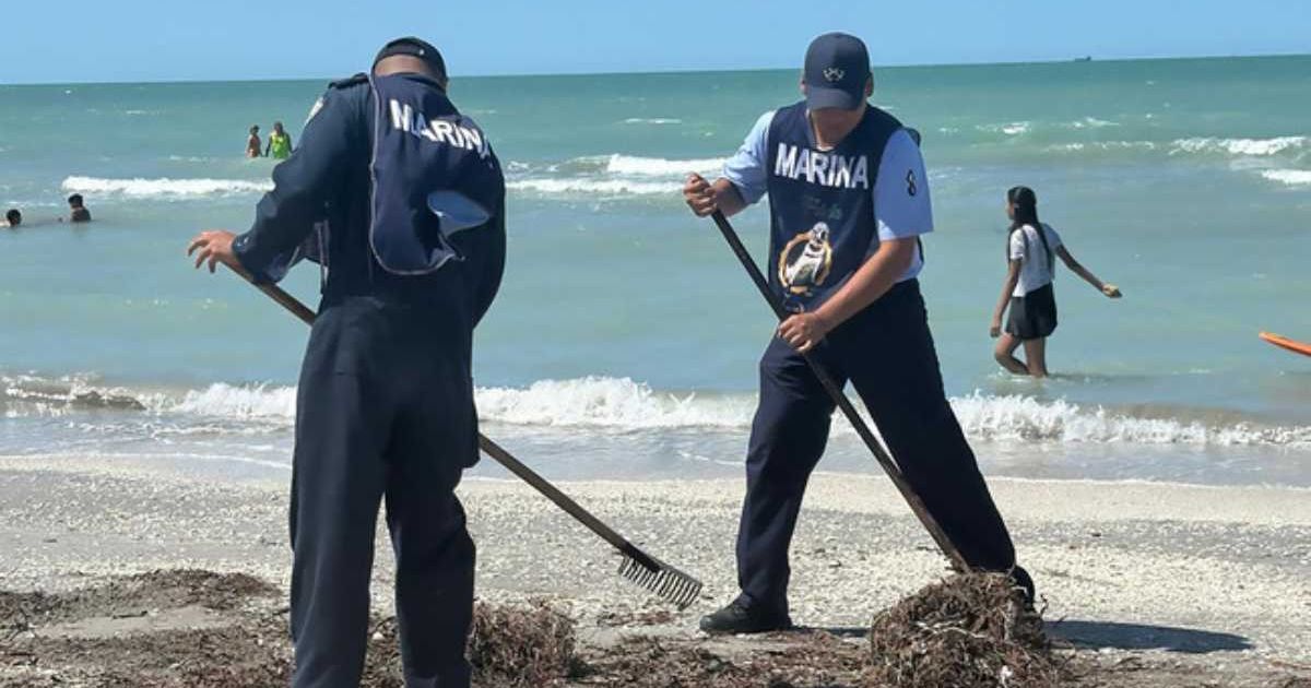 Recolectan casi 900 toneladas de hidrocarburo en playas del Golfo de México