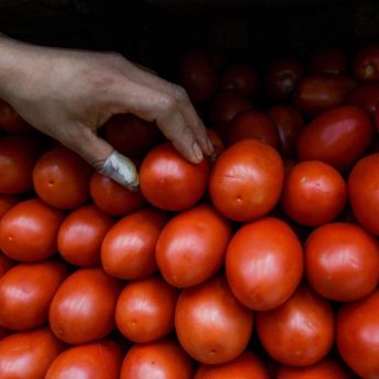 Repunta inflación al cierre de marzo: jitomate y energéticos presionan bolsillos