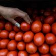 Repunta inflación al cierre de marzo: jitomate y energéticos presionan bolsillos
