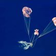 Misión Artemis II completa su viaje histórico: Amerizaje de la cápsula Orión (Foto EFE / Nasa)