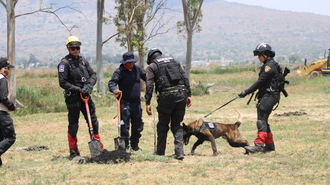 Equipos especializados participaron durante la jornada de búsqueda. Imagen: CBP CDMX