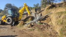 Las áreas intervenidas forman parte de ecosistemas clave, donde predominan bosques de pino y oyamel, así como zonas agrícolas tradicionales. SEDEMA