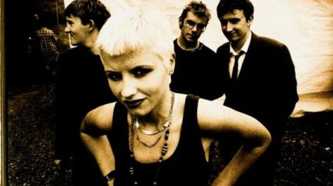 Cranberries (Foto: Especia)