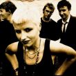 Cranberries (Foto: Especia)