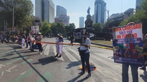Manifestantes exigen devolución de perros y gatos asegurados en enero pasado. Foto Cuarto Oscuro