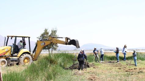 Los restos óseos fueron localizados en los límites entre la alcaldía Tláhuac y el municipio de Chalco