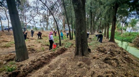 Los restos óseos fueron localizados en los límites entre la alcaldía Tláhuac y el municipio de Chalco