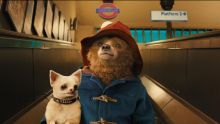 Se ha confirmado una cuarta película del oso Paddington