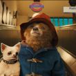 Se ha confirmado una cuarta película del oso Paddington