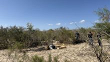 Colectivos localizan restos humanos en San José del Cabo. Foto Especial