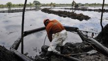 Pemex admite responsabilidad por derrame en el Golfo: ¿Qué exige Oceana? (Foto EFE)