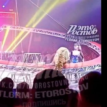 Pánico en Rusia: Tigre de circo salta hacia el público tras fallo de seguridad