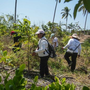 Amnistía Internacional advirtió que la situación de los derechos humanos en México sufrió un deterioro en 2025 (Foto: EFE)