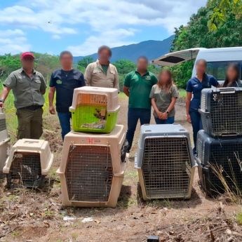 liberación de 40 ejemplares de fauna silvestre en el estado de Tamaulipas (Profepa)