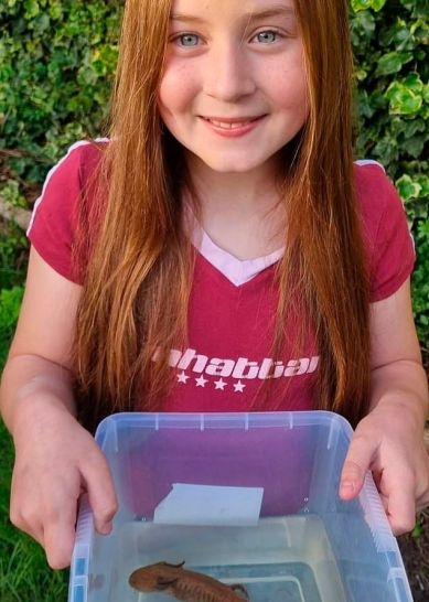 Evie Hill, la niña que halló al ajolote