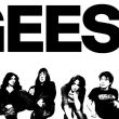 Geese anuncia concierto en en el Teattro Metropólitan de la CDMX