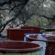UIF también actúa contra red señalada por EU por distribución precursores químicos UIF también actúa contra red señalada por EU por distribución precursores químicos