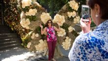 Habrá instalaciones florales monumentales. Foto Archivo/Cuarto Oscuro