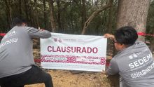 Durante la inspección extraordinaria, los peritos ambientales localizaron evidencias claras de intervención reciente en un polígono (Foto: Especial)