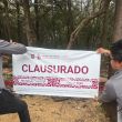 Durante la inspección extraordinaria, los peritos ambientales localizaron evidencias claras de intervención reciente en un polígono (Foto: Especial)