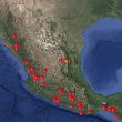 Hay 38 incendios forestales activos en México