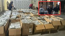 Aseguran 761 kilos de marihuana en Saltillo durante revisión a tractocamión (especial)