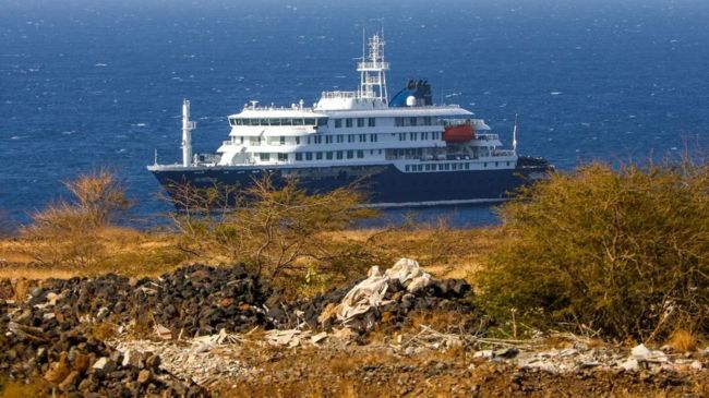 Tedros Adhanom, director general de la OMS, informó que las posibilidades de que el brote de hantavirus detectado en el crucero MV Hondius se propague son reducidas (Foto: EFE)